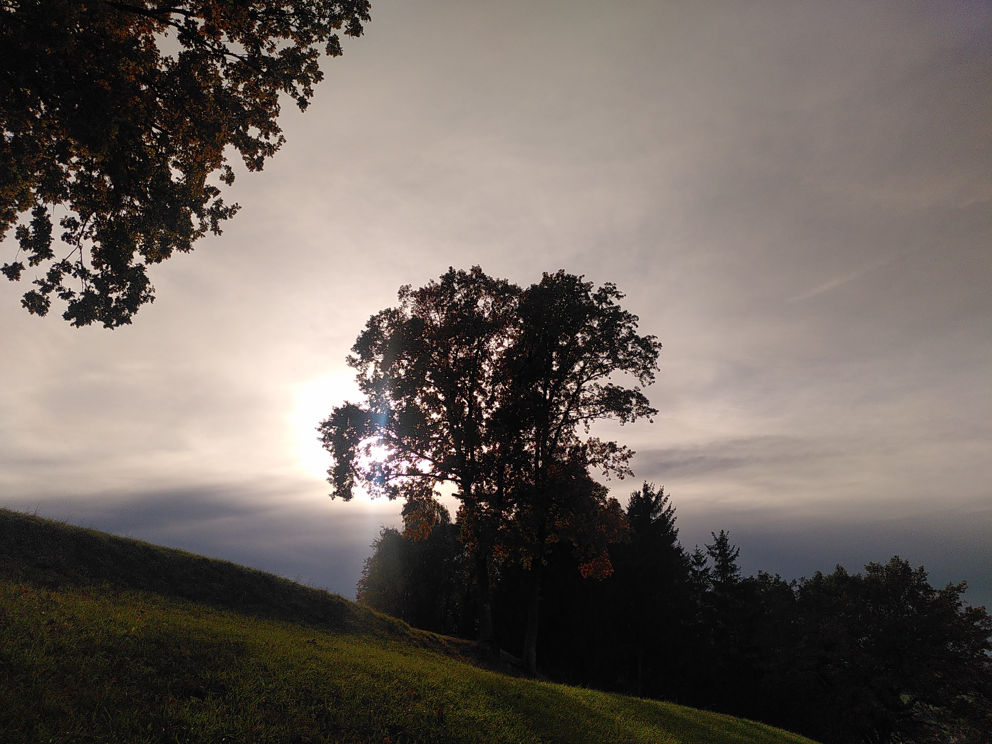 Novemberstimmung (Anke)